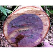 Эфирное масло Розовое дерево(древесина) Oiless, 5мл